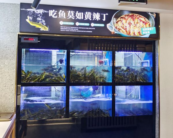 “会跳舞的鱼”现做鲜鱼火锅,社区餐饮的新机会